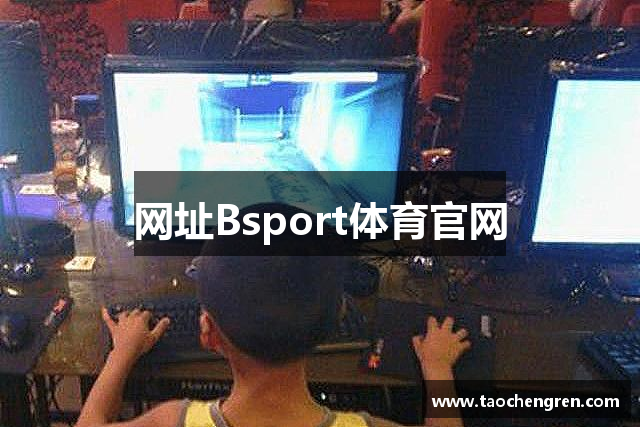 网址Bsport体育官网